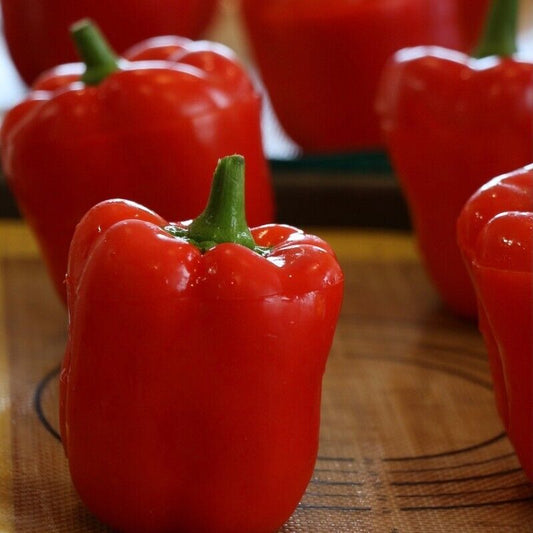 California Wonder Bell Pepper Seeds | Non-GMO | Free Fast Shipping | 20+