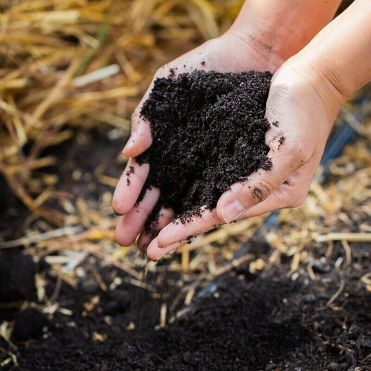 Organic Fresh Worm Castings 100% Natural Organic Garden Soil Plant Fertilizer